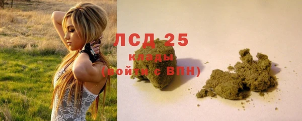 индика Бронницы