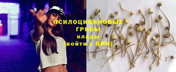 синтетический гашиш Богородск