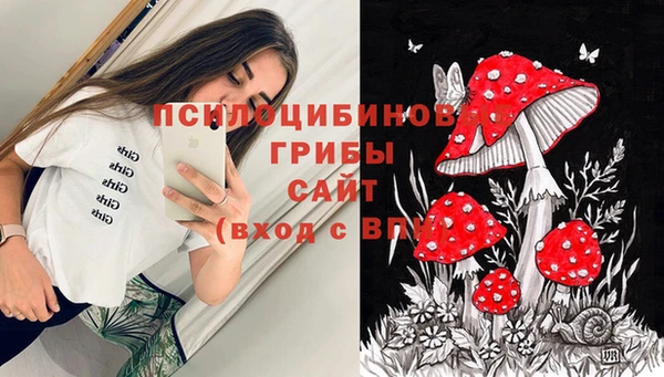 ешки Верхний Тагил