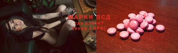 индика Бронницы