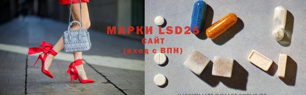 индика Бронницы