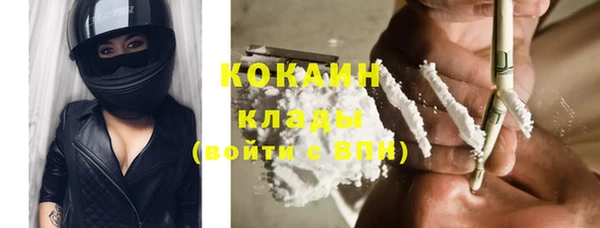 индика Бронницы
