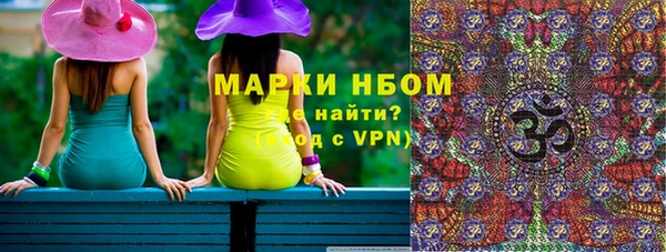 индика Бронницы