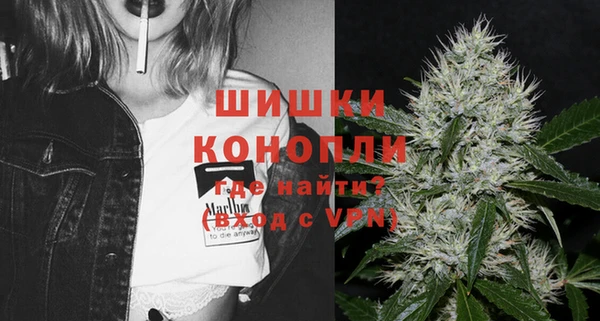 ешки Верхний Тагил