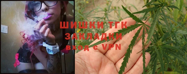 индика Бронницы