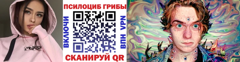 Псилоцибиновые грибы GOLDEN TEACHER  закладки  Суворов 