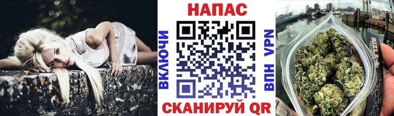 Бошки марихуана SATIVA & INDICA  купить закладку  Суворов 